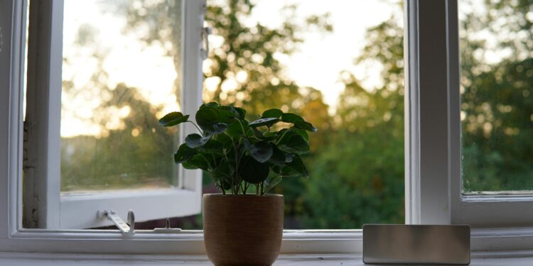 The Benefits of a Minimalist Lifestyle