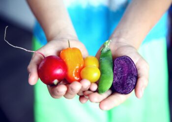 How to Maintain a Healthy Heart