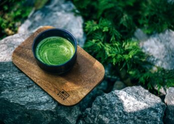 The Importance of Detoxifying Your Body