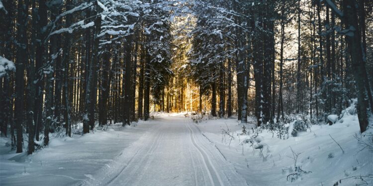 How to Stay Healthy During Seasonal Changes