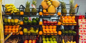 How to Support Immune Health with Nutrition